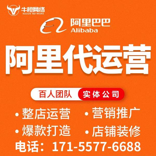老河口电商代运营