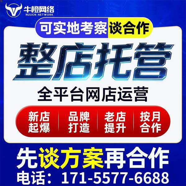 老河口电商代运营