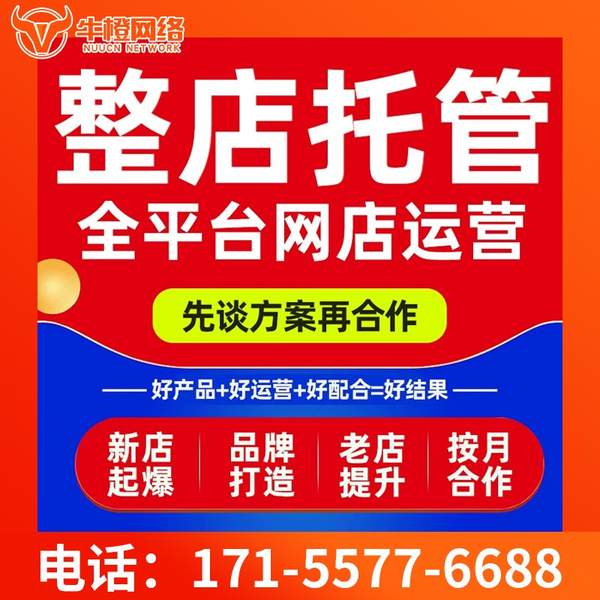 老河口电商代运营