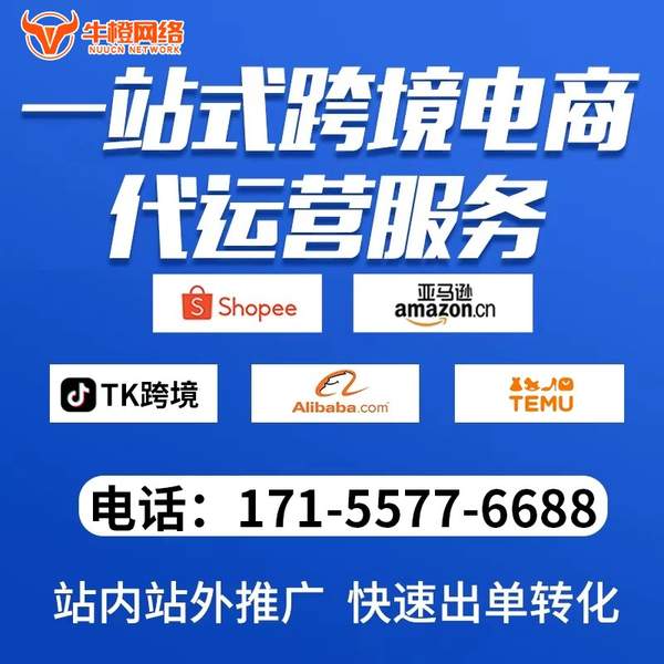 老河口电商代运营