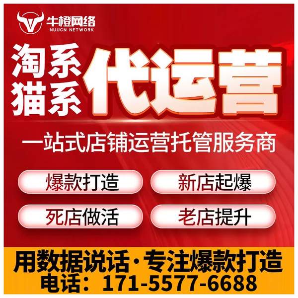 老河口电商代运营